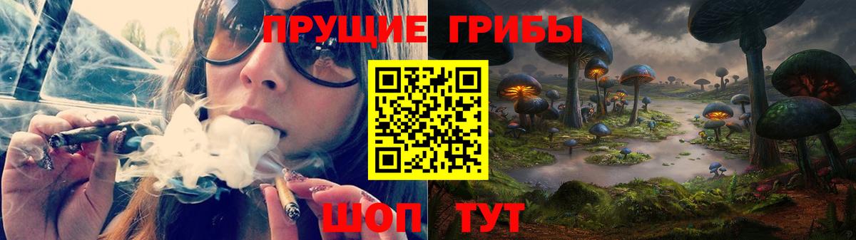 Галлюциногенные грибы Psilocybine cubensis  Вход с VPN  Павлово 